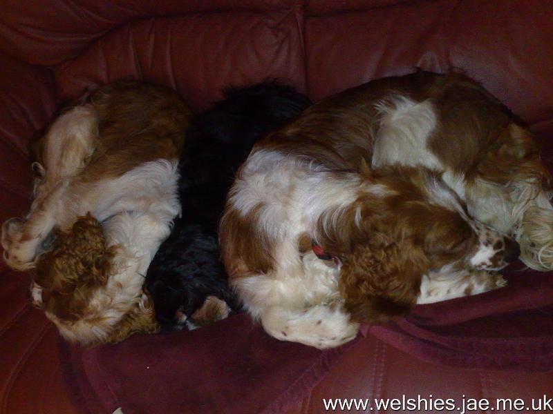 2009-12-29 04.jpg - Squashed!